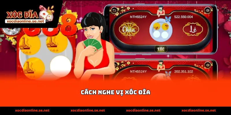 Cách nghe vị xóc đĩa