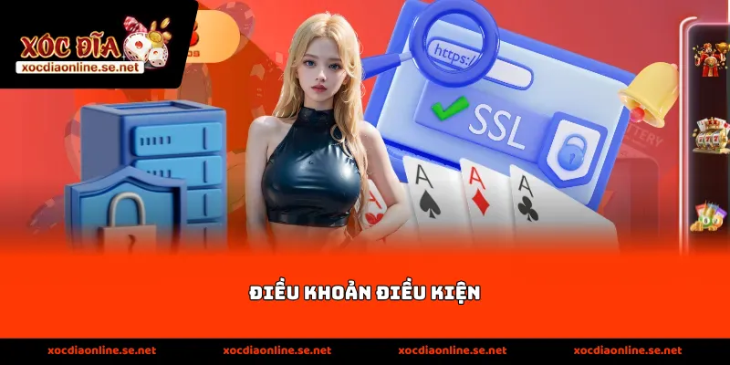 điều khoản điều kiện